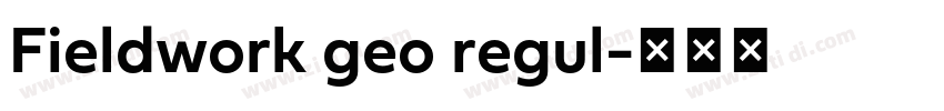 Fieldwork geo regul字体转换